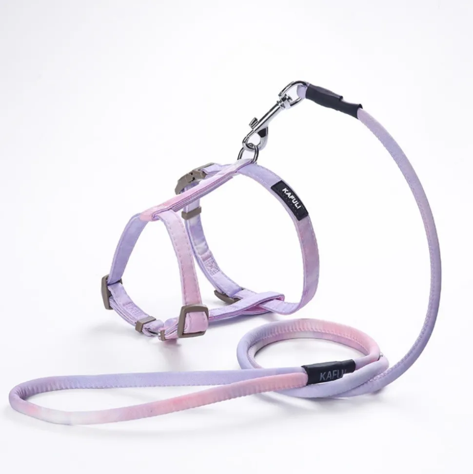 DOWNYPAWS - Harnachement et laisse pour chat s
