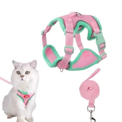 DOWNYPAWS - Harnais avec laisse pour chat m