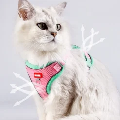 DOWNYPAWS - Harnais avec laisse pour chat m