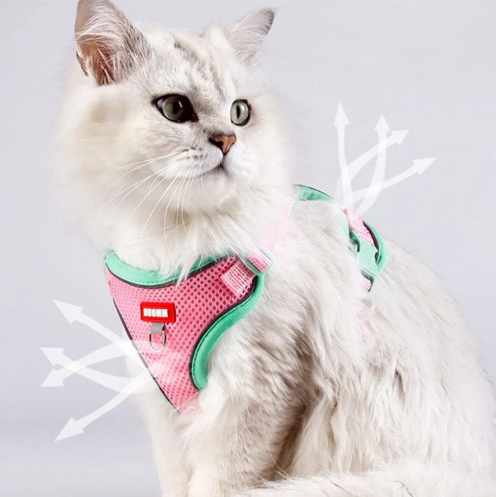 DOWNYPAWS - Harnais avec laisse pour chat l