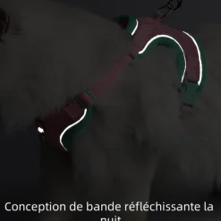 DOWNYPAWS - Harnais avec laisse pour chat l