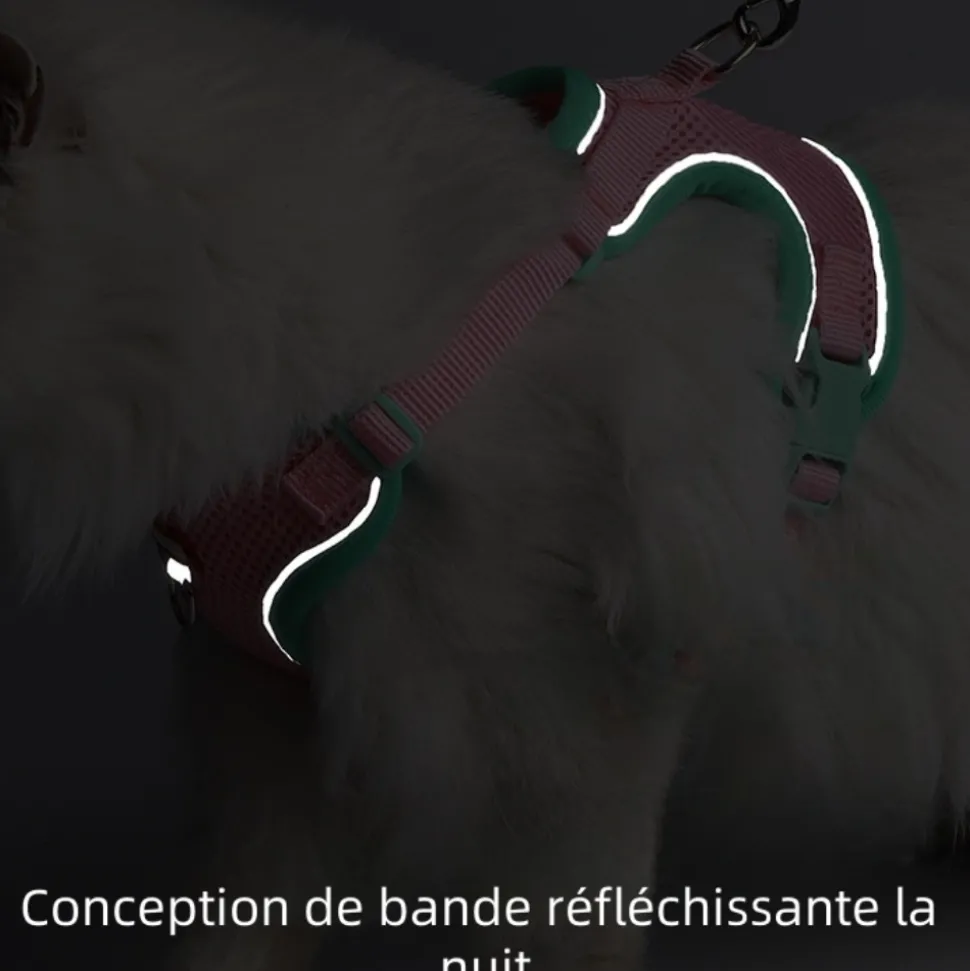 DOWNYPAWS - Harnais avec laisse pour chat l