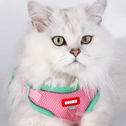 DOWNYPAWS - Harnais avec laisse pour chat l