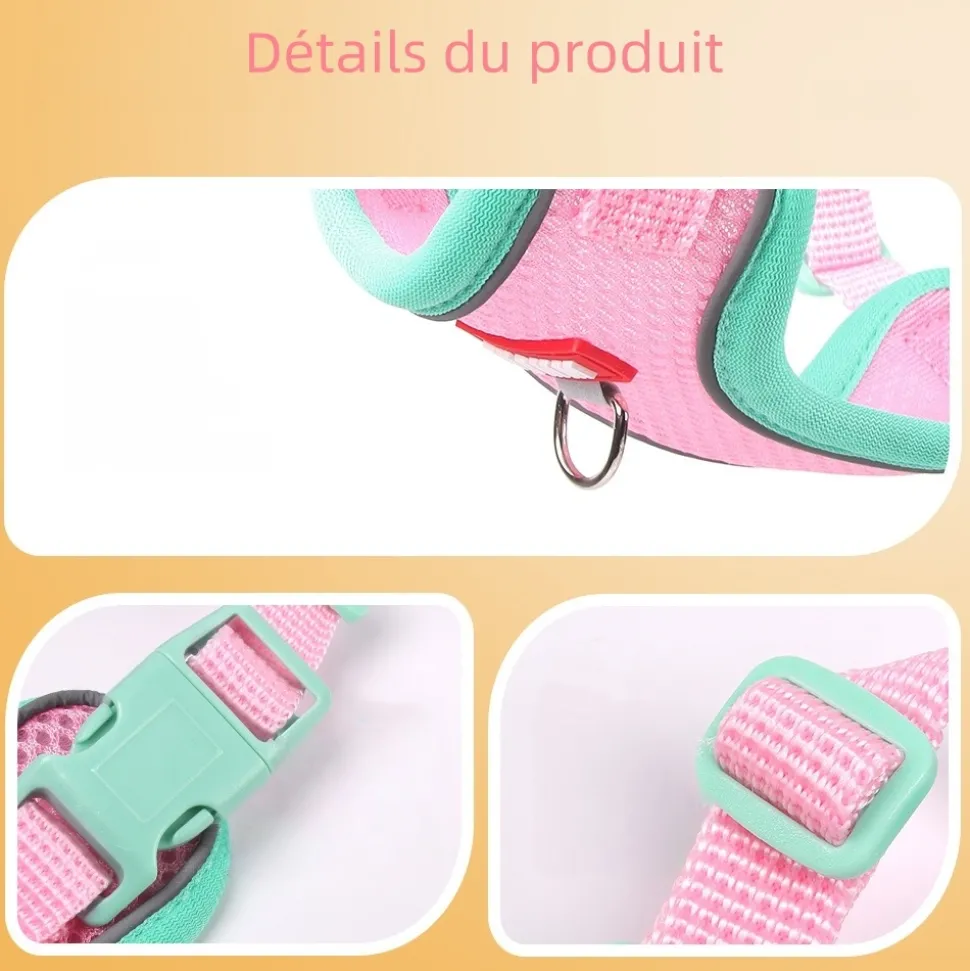 DOWNYPAWS - Harnais avec laisse pour chat l