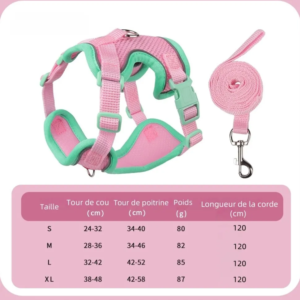 DOWNYPAWS - Harnais avec laisse pour chat l