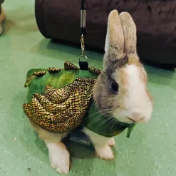 DOWNYPAWS - Harnais et laisse - costume de dinosaure, anti - fuite, halloween l