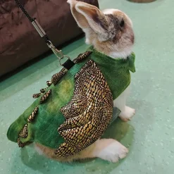 DOWNYPAWS - Harnais et laisse - costume de dinosaure, anti - fuite, halloween l