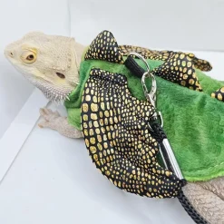 DOWNYPAWS - Harnais et laisse - costume de dinosaure, anti - fuite, halloween s