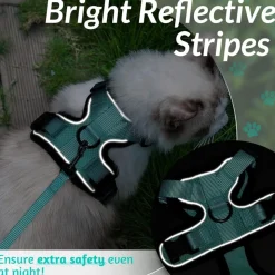 DOWNYPAWS - Harnais et laisse réfléchissants pour chat s