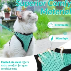 DOWNYPAWS - Harnais et laisse réfléchissants pour chat s