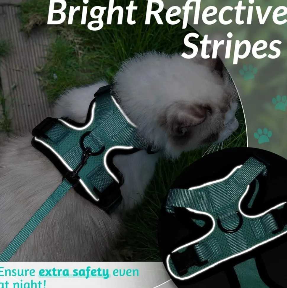 DOWNYPAWS - Harnais et laisse réfléchissants pour chat xs