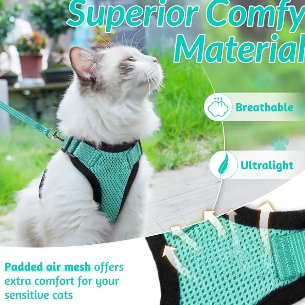 DOWNYPAWS - Harnais et laisse réfléchissants pour chat xs