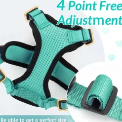 DOWNYPAWS - Harnais et laisse réfléchissants pour chat xs