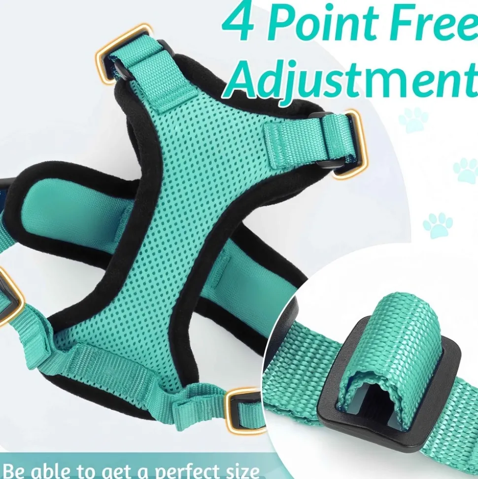 DOWNYPAWS - Harnais et laisse réfléchissants pour chat xs