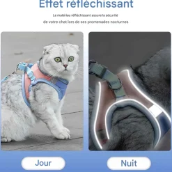 DOWNYPAWS - Harnais pour chat avec laisse et doublure réfléchissante s