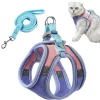 DOWNYPAWS - Harnais pour chat avec laisse et doublure réfléchissante l