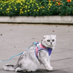 DOWNYPAWS - Harnais pour chat avec laisse et doublure réfléchissante l