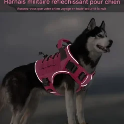 DOWNYPAWS - Harnais pour chien-anneau en d avec poignée- taille m