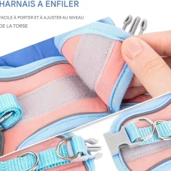 DOWNYPAWS - Harnais pour chat avec laisse et doublure réfléchissante m