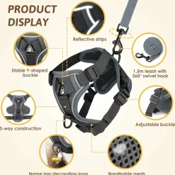 DOWNYPAWS - Harnais réfléchissant réglable pour chat - avec laisse l