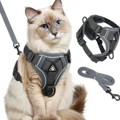 DOWNYPAWS - Harnais réfléchissant réglable pour chat - avec laisse m
