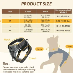 DOWNYPAWS - Harnais réfléchissant réglable pour chat - avec laisse m