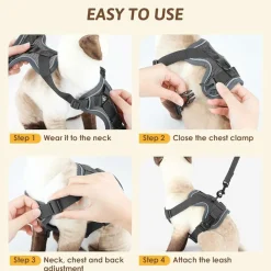 DOWNYPAWS - Harnais réfléchissant réglable pour chat - avec laisse m