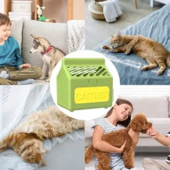 DOWNYPAWS - Herbe à chat pour herbe de chat hydroponique friandises pour chats