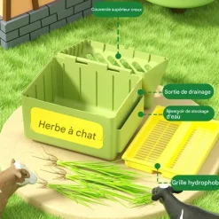 DOWNYPAWS - Herbe à chat pour herbe de chat hydroponique friandises pour chats