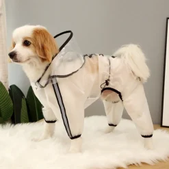 DOWNYPAWS - Imperméable pour chien avec capuche transparente-imperméable pour chien à quatre pattes - noir