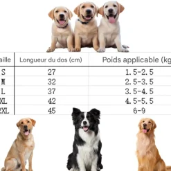 DOWNYPAWS - Imperméable pour chien avec sac de rangement-taille s : longueur du dos : 27 cm