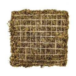 DOWNYPAWS - Jeu d'escalade pour hermit crab et escargot 4 pièces