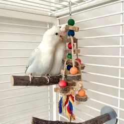 DOWNYPAWS - Jouet à mâcher perroquet - perles en bois colorées