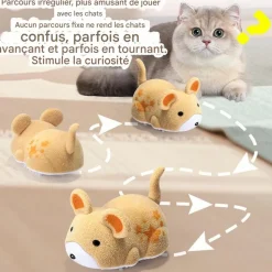 DOWNYPAWS - Jouet couineur pour chat