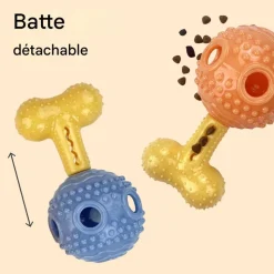 DOWNYPAWS - Jouet distributeur friandises chien silicone indestructible