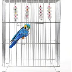 DOWNYPAWS - Jouet mâcher perroquet lot 2 avec cloche