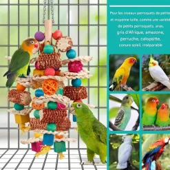 DOWNYPAWS - Jouet mâcher perroquet en maïs couleur