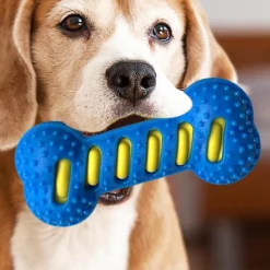 DOWNYPAWS - Jouet pour chien forme osseuse sifflet tpr nettoyant dentaire