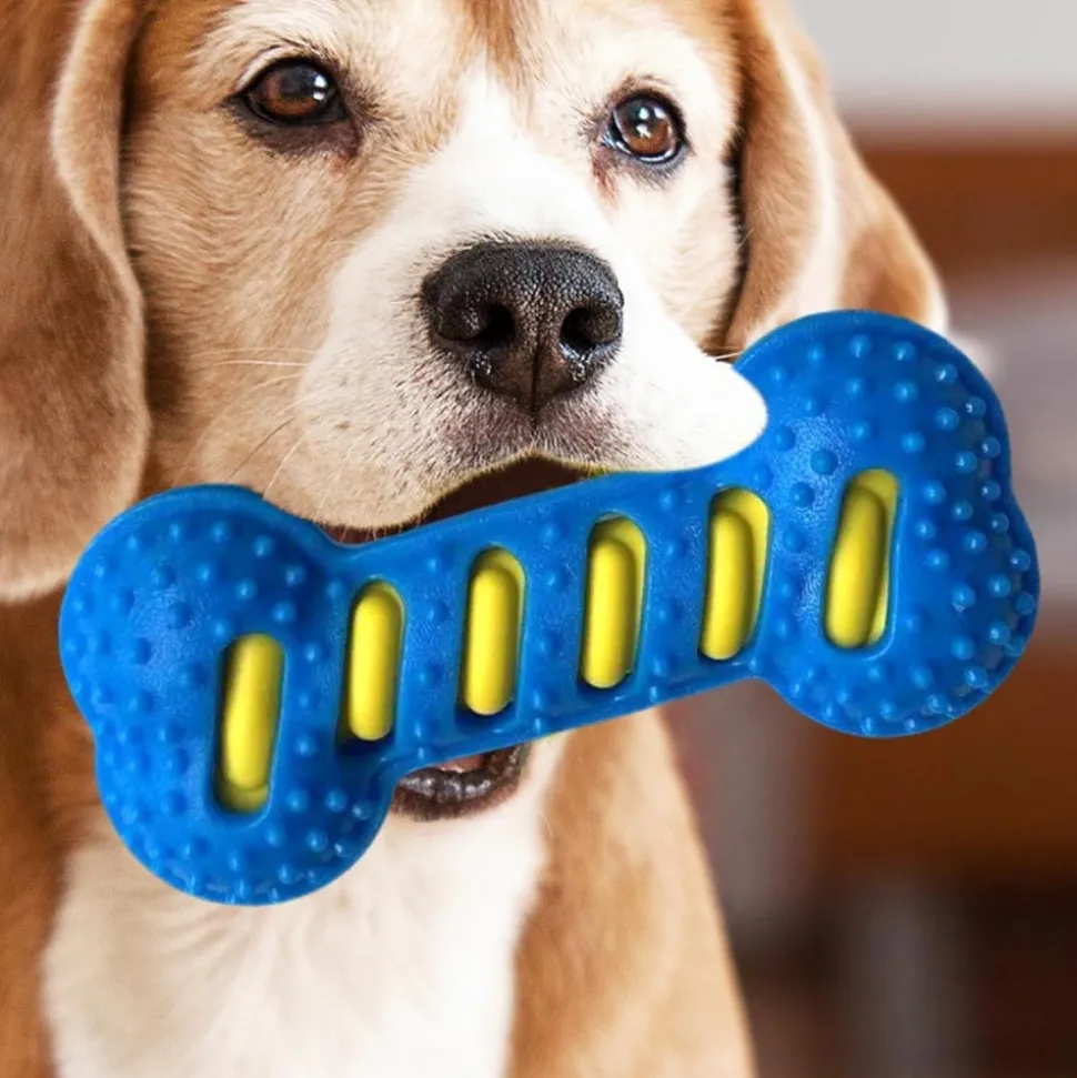 DOWNYPAWS - Jouet pour chien forme osseuse sifflet tpr nettoyant dentaire