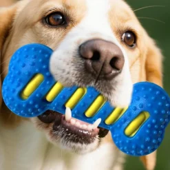 DOWNYPAWS - Jouet pour chien forme osseuse sifflet tpr nettoyant dentaire