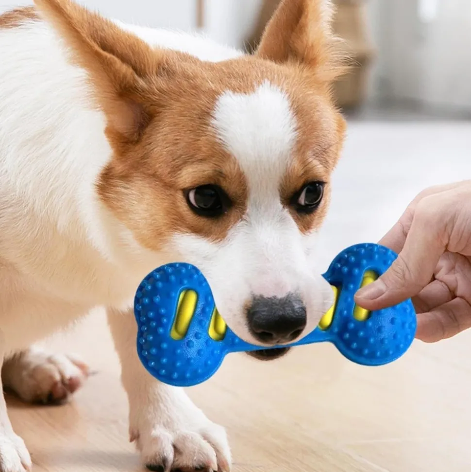 DOWNYPAWS - Jouet pour chien forme osseuse sifflet tpr nettoyant dentaire