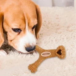 DOWNYPAWS - Jouets à mâcher pour chiens-en forme d'osen forme d'os-bon pour la santé dentaire