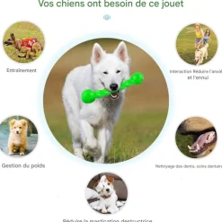 DOWNYPAWS - Jouets à mâcher pour chiens- forme d'os -grand verthygiène dentaire