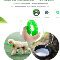 DOWNYPAWS - Jouets à mâcher pour chiens- forme d'os -grand verthygiène dentaire