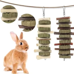 DOWNYPAWS - Jouets à mâcher - 2 pièces branches de pommier naturel