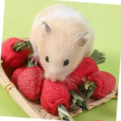 DOWNYPAWS - Jouets à mâcher - lot de 9 en forme de fraise