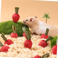 DOWNYPAWS - Jouets à mâcher - lot de 9 en forme de fraise