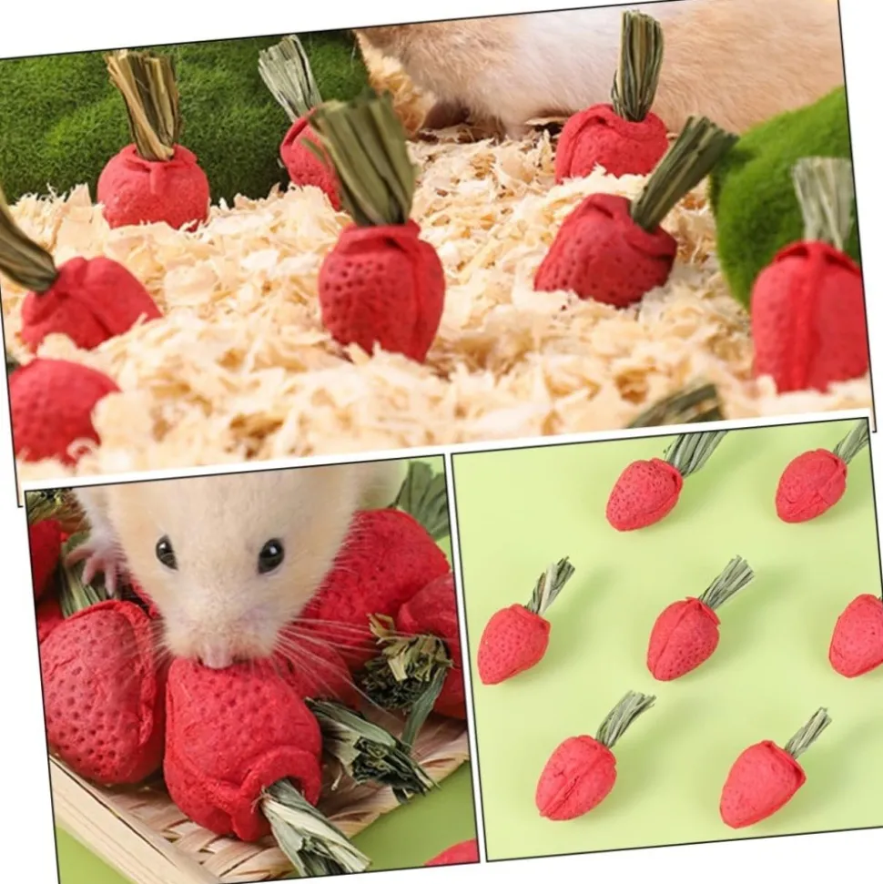 DOWNYPAWS - Jouets à mâcher - lot de 9 en forme de fraise