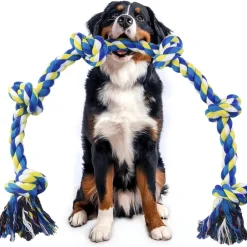 DOWNYPAWS - Jouets de tir à la corde