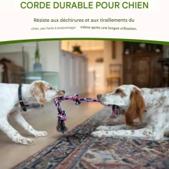 DOWNYPAWS - Jouets de tir à la corde